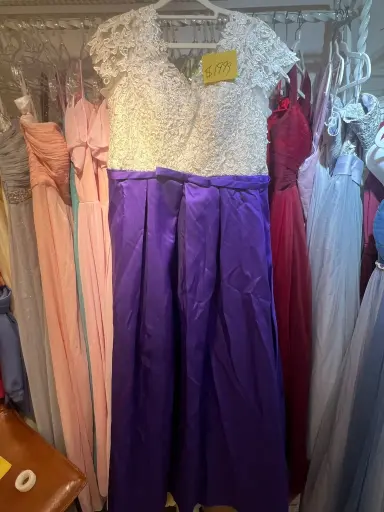 白蕾絲拼紫紗典雅裙