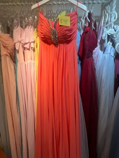 珊瑚紅聚焦鑽飾晚裝